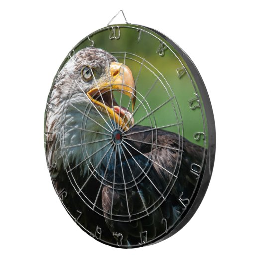 Adlerdart-Spiel Dartscheibe (Vorderseite rechts)