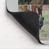 Adlerfamilie Harriet, M115 der Mausunterlage SWFL Mousepad (Ecke)