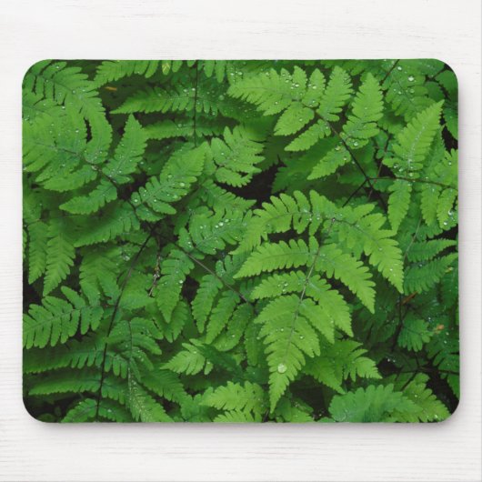 Adlerfarn mit Regentropfen, Washington State Mousepad (Vorne)