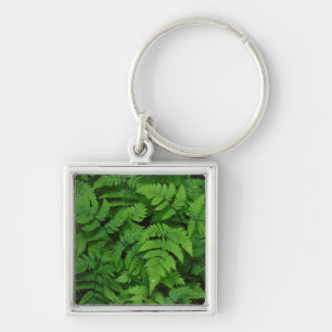 Adlerfarn mit Regentropfen, Washington State Schlüsselanhänger