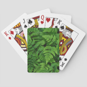 Adlerfarn mit Regentropfen, Washington State Spielkarten