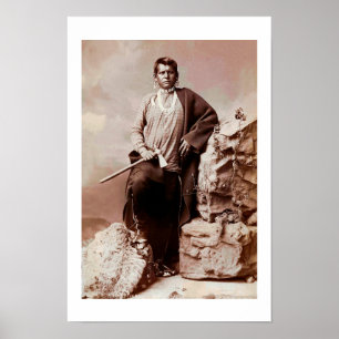 Adlerfeder Poster