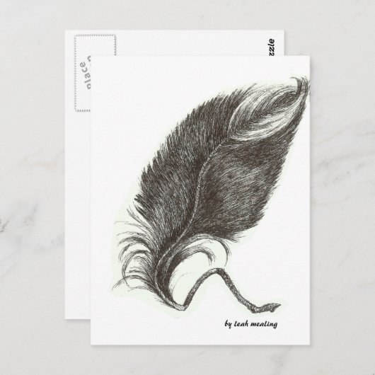 Adlerfeder Postkarte (Vorne/Hinten)