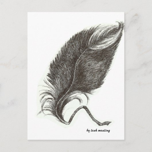 Adlerfeder Postkarte (Vorderseite)