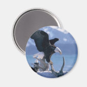 Adlerfliege2 Magnet (Vorderseite/Rückseite)