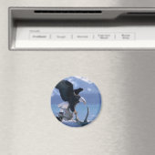 Adlerfliege2 Magnet (In Situ (Geschirrspüler))