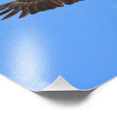 Adlerfliegen Fotodruck (Ecke)