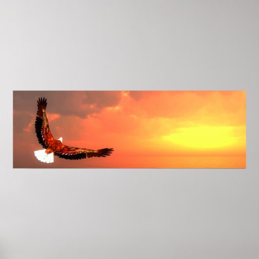 Adlerfliegen Poster (Vorne)