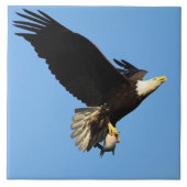 Adlerflug Fliese (Vorderseite)