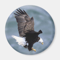 Adlerflug