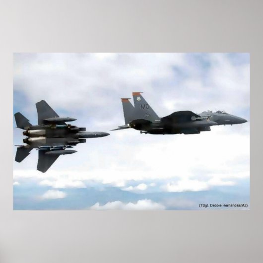 Adlerflug Poster (Vorne)