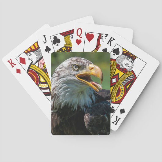 Adlerfoto Spielkarten (Rückseite)