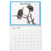 Adlerkalender 2023 - CN Kalender (Jan 2027)