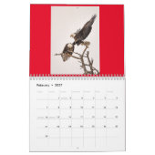 Adlerkalender 2023 - CN Kalender (Feb 2027)
