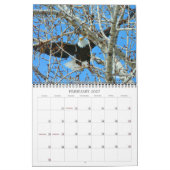 Adlerkalender für Wingpics 2012 Kalender (Feb 2027)