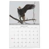 Adlerkalender für Wingpics 2012 Kalender (Mär 2027)