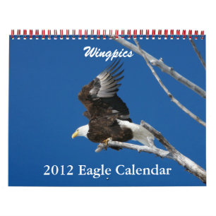 Adlerkalender für Wingpics 2012 Kalender