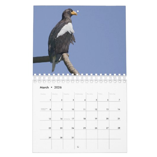 Adlerkalender Kalender (Mär 2026)