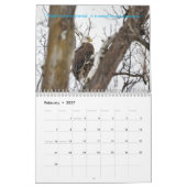 Adlerkalender Kalender (Feb 2027)