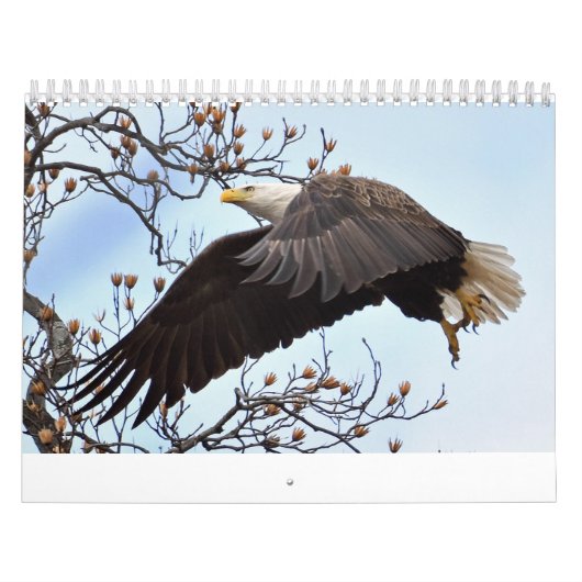 Adlerkalender Kalender (Titelbild)
