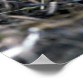 Adlerküken Poster (Ecke)