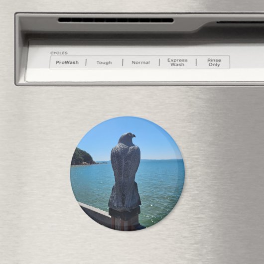 Adlermagnete Magnet (In Situ (Geschirrspüler))