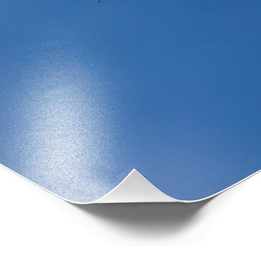 AdlerOverhead Fotodruck (Ecke)