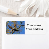 Adlerpaare mit Ihrer Adresse (Insitu)