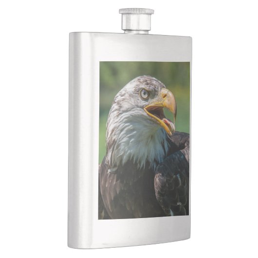 Adlerphoto Flachmann (Rechts)