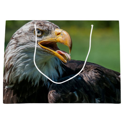 Adlerphoto Große Geschenktüte (Vorderseite)