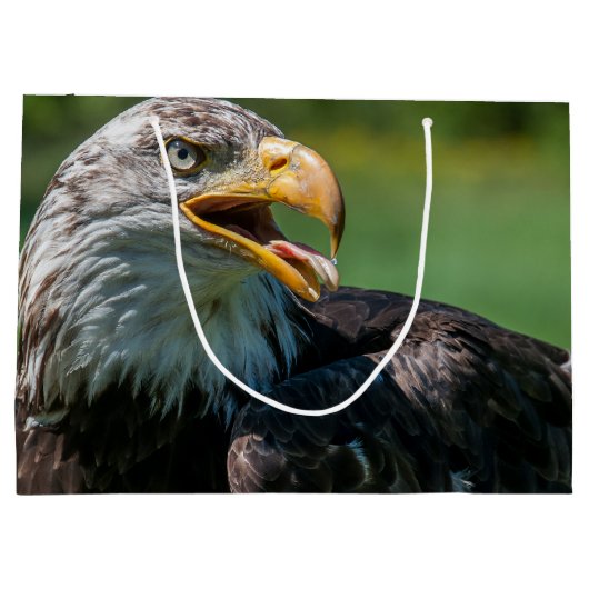 Adlerphoto Große Geschenktüte (Rückseite)