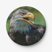 Adlerphoto Pappteller (Vorderseite)