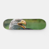 Adlerphoto Skateboard (Horizontal)