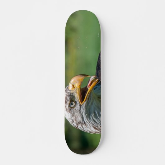 Adlerphoto Skateboard (Vorne)