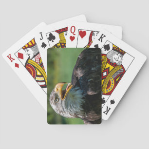 Adlerphoto Spielkarten