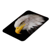 Adlerportrait Magnet (Linke Seite)