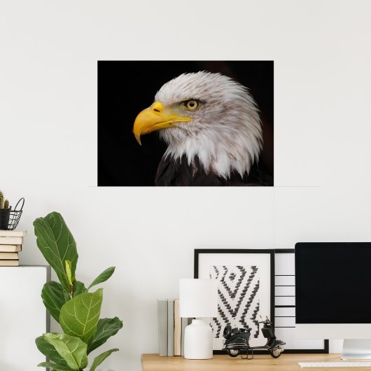 Adlerportrait Poster (Heimbüro)