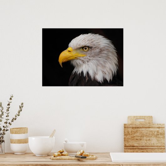 Adlerportrait Poster (Küche)