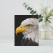 Adlerportrait Postkarte (Stehend Vorderseite)