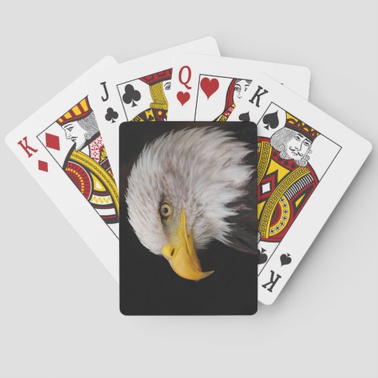 Adlerportrait Spielkarten (Rückseite)
