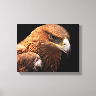 Adlerporträt abgeschieden auf Schwarzem Leinwanddruck
