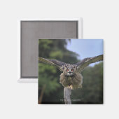 Adlerschale (Bubo bubo) Magnet (Vorderseite/Rückseite)