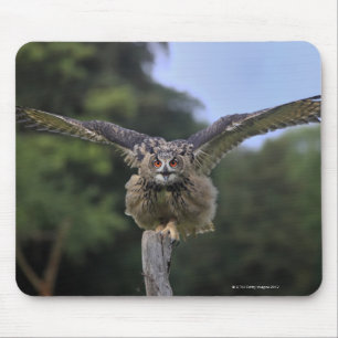 Adlerschale (Bubo bubo) Mousepad