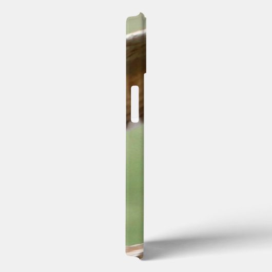 Adlerschüssel Case-Mate iPhone Hülle (Rückseite / Rechts)