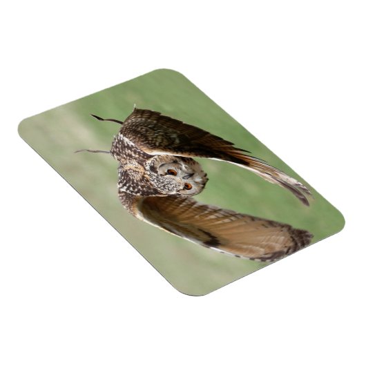 Adlerschüssel Magnet (Rechte Seite)