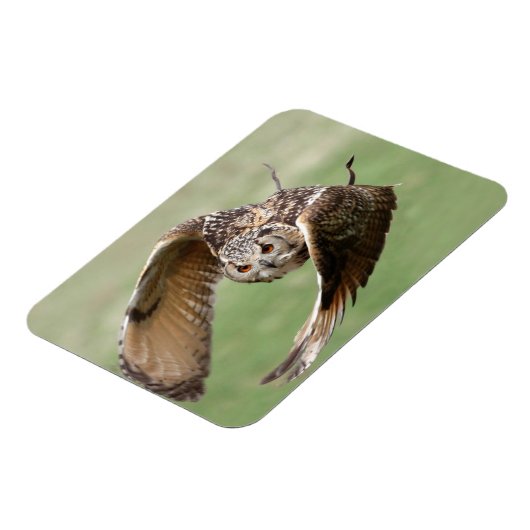 Adlerschüssel Magnet (Linke Seite)