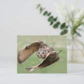 Adlerschüssel Postkarte (Stehend Vorderseite)