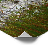 Adlersee und Blätter des Roten Apfels II Poster (Ecke)