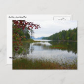 Adlersee und Blätter des Roten Apfels II Postkarte (Vorne/Hinten)