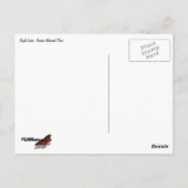 Adlersee und Blätter des Roten Apfels II Postkarte (Rückseite)